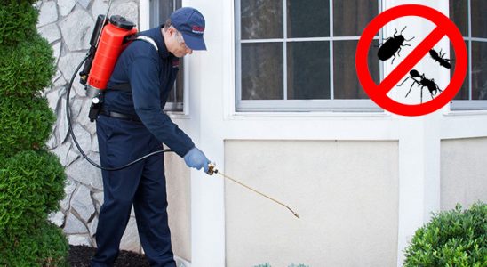 Eşme Gümüşkurt İlaçlama böcek ilaçlama ve haşere kontrolü — ilaclama-tr.com